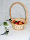 Basket with Easter Eggs and Titmice