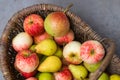 raw autumn fresh fruits as apples pears in the basket