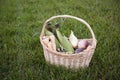 Basket of Fall Vegetables in Grass Royalty Free Stock Photo