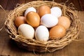 a basket of farm fresh eggs on a straw surface Royalty Free Stock Photo