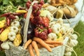 Fruit basket. Basket is filled with autumn vegetables Royalty Free Stock Photo