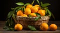 Basket filled with fresh aromatic mandarins