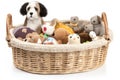 a basket filled with pet toys and treats, ready to provide hours of fun Royalty Free Stock Photo