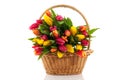 Basket filled with tulips