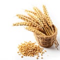 A basket filled with wheat next to a pile of grain, clipart isolated on white background. Royalty Free Stock Photo