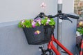 The basket, fixed to the handlebars of the bicycle, is decorated with flowers Royalty Free Stock Photo