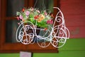 Basket flower