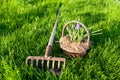 Basket of flowers and garden rake on the mowed lown Royalty Free Stock Photo