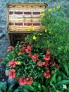 Basket with Flowers