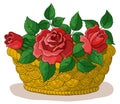 Basket with flowers roses