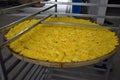 Basket with flowers of yellow chrysanthemums preparing for the drying. Royalty Free Stock Photo