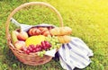 Basket with Food Fruit Bakery Cheese Ham Tomato Picnic Green Grass Toned Photo