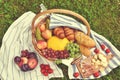 Basket with Food Fruit Bakery Cheese Ham Tomato Picnic Green Grass Toned Photo