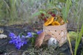 Basket with forest mushrooms