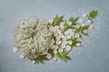 Basket in the form of a flower, white daisies train with green leaves, turquoise background