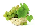 Basket of fragrant grapes isolated on white. Bunches of ripe grapes with leaves and tendrils. Autumn harvest. Close-up. Royalty Free Stock Photo