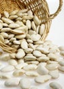 Basket with French Soissons Beans, phaseolus vulgaris