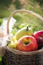 A basket of fresh apples, pears and plums on the grass, sunset Royalty Free Stock Photo