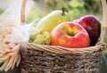 A basket of fresh apples, pears and plums on the grass, sunset Royalty Free Stock Photo