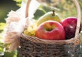A basket of fresh apples, pears and plums on the grass, sunset Royalty Free Stock Photo
