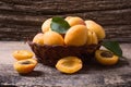 Basket of fresh apricots