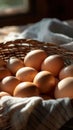 Basket of fresh brown eggs with cloth in sunlight, rustic kitchen setting Royalty Free Stock Photo