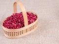 Basket with fresh cranberries close-up. Autumn berries. Royalty Free Stock Photo