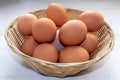 Basket of Fresh Eggs on a White Counter Top Royalty Free Stock Photo
