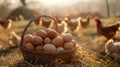 The Basket of Fresh Eggs.AI generated image Royalty Free Stock Photo