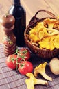 Basket with fresh golden chanterelles and potatos tomatos and re Royalty Free Stock Photo