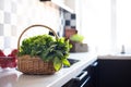 Basket with fresh greens