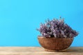 Basket with fresh lavender flowers on wooden table against blue background. Space Royalty Free Stock Photo