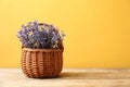 Basket with fresh lavender flowers on wooden table against yellow background Royalty Free Stock Photo