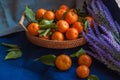 Basket of fresh mandarin oranges Tangerins with green leaves. Royalty Free Stock Photo