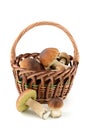 Basket with fresh penny bun mushrooms on white backgro
