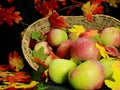 Basket of apples with fall color leaves scattered around,