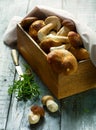 a Basket with fresh porcini mushrooms in the summer or autumn season cep mushrooms and spices herbs on a wooden table Italian Royalty Free Stock Photo