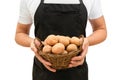 Basket with fresh potatoes in the hands of a farmer on a white background. Harvesting Royalty Free Stock Photo