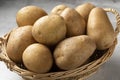 Basket with fresh raw Nicola potatoes Royalty Free Stock Photo