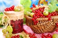 basket of fresh red,white currant ,gooseberry and jar of preserve Royalty Free Stock Photo