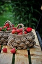 Basket of fresh strawberries on a background of a green garden and tree branches Royalty Free Stock Photo