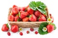 Basket fresh strawberry with green leaf and flower