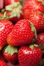 Basket of fresh strawberry harvest, bio dessert delicious
