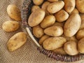 Basket of fresh tasty potatoes