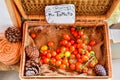 Basket of fresh tomatoes display at farmers market Royalty Free Stock Photo