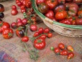 Basket of fresh tomatoes, many varieties.