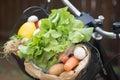 Basket with fresh vegetables on bike Royalty Free Stock Photo