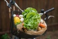 Basket with fresh vegetables on bike Royalty Free Stock Photo