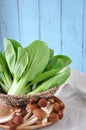 Basket of Fresh Veggie and Mushroom Royalty Free Stock Photo