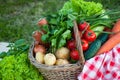 Basket with freshvegetables Royalty Free Stock Photo